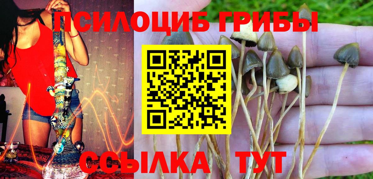 A-PVP СОЛЬ кристаллы  Кодеин  Соль-Илецк  Вход с VPN  ГАШ  Канабис  Мефедрон   Канабис  ЭКСТАЗИ 