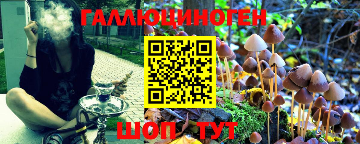 Псилоцибиновые грибы мицелий  Вход с VPN  Псилоцибиновые грибы Magic Shrooms  Соль-Илецк 