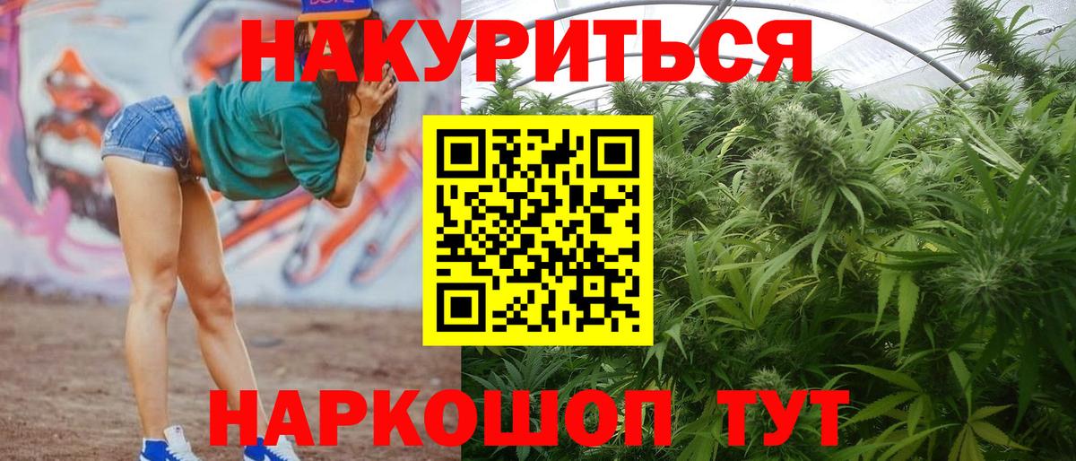 Соль-Илецк  Бошки марихуана ГИДРОПОН  Канабис план  Вход с VPN  Марихуана семена 